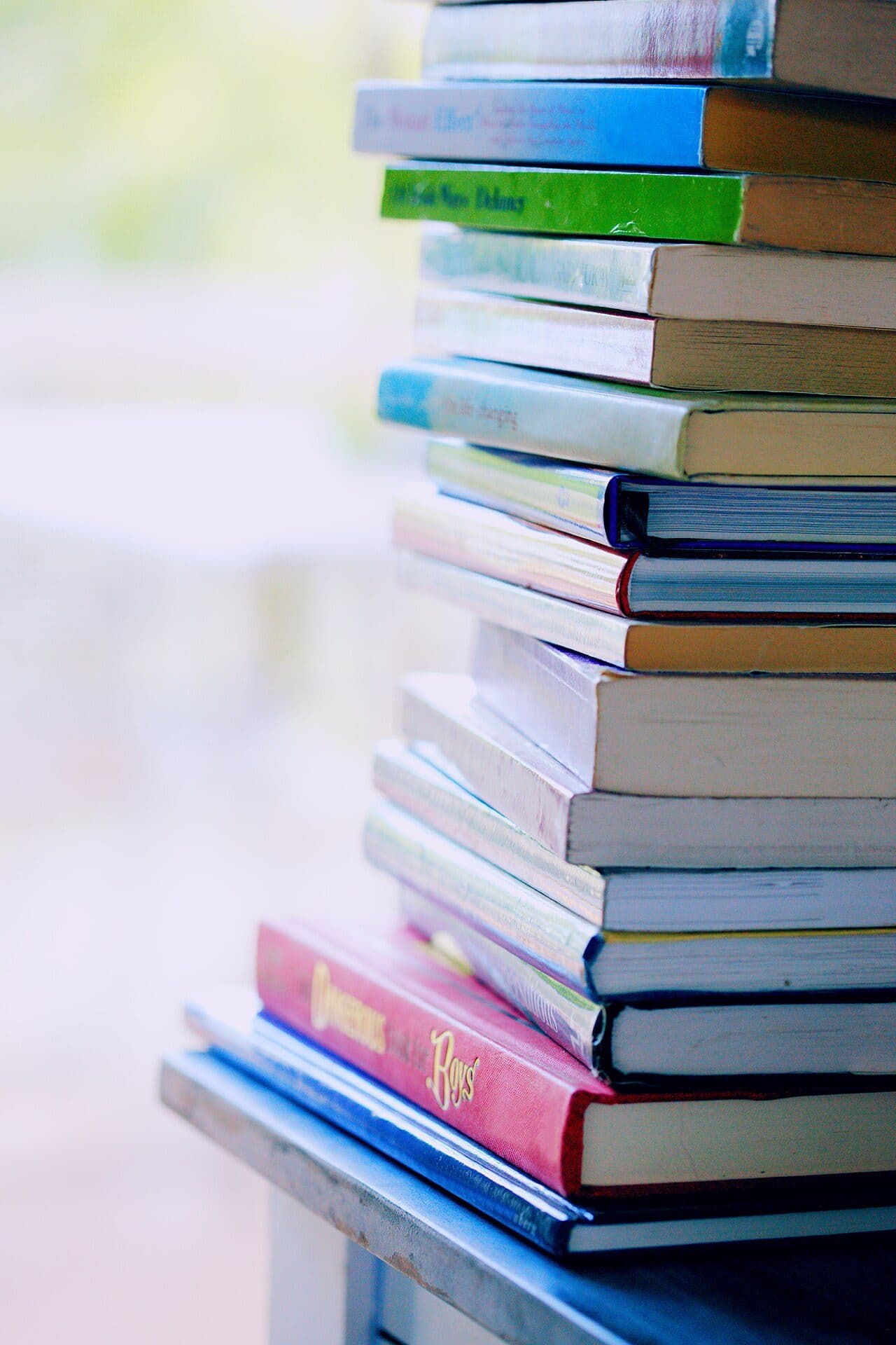 Immaculate Textbook Bundle — photo 2 of 3